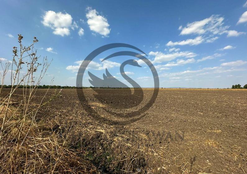 Teren extravilan de vanzare | 9882mp | Berceni - Prahova ... - 9