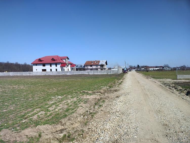 Teren de vanzare in Cosoba Giurgiu langa padure - 3