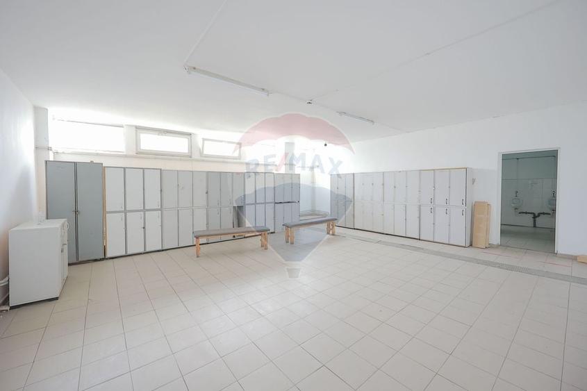 De vanzare spatiu industrial PGS Sofa, calea Borsului - 12