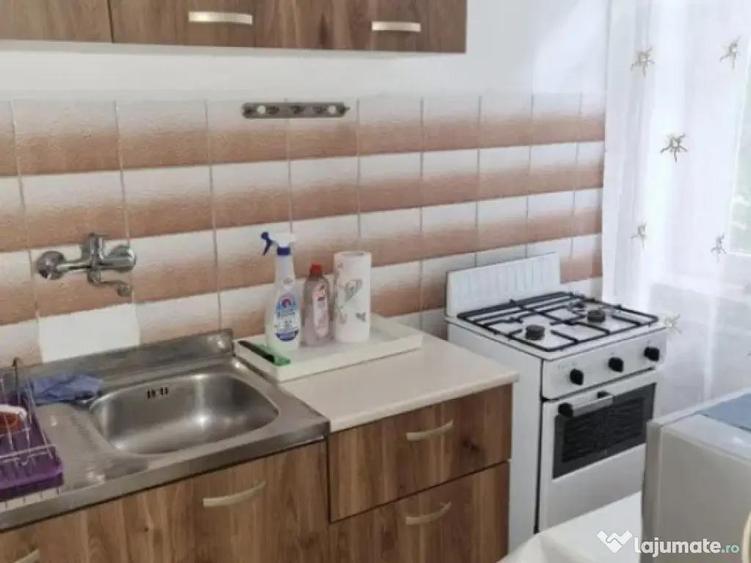 Garsoniera de vanzare, 28 mp, zona Brazda lui Novac - Piata - 2