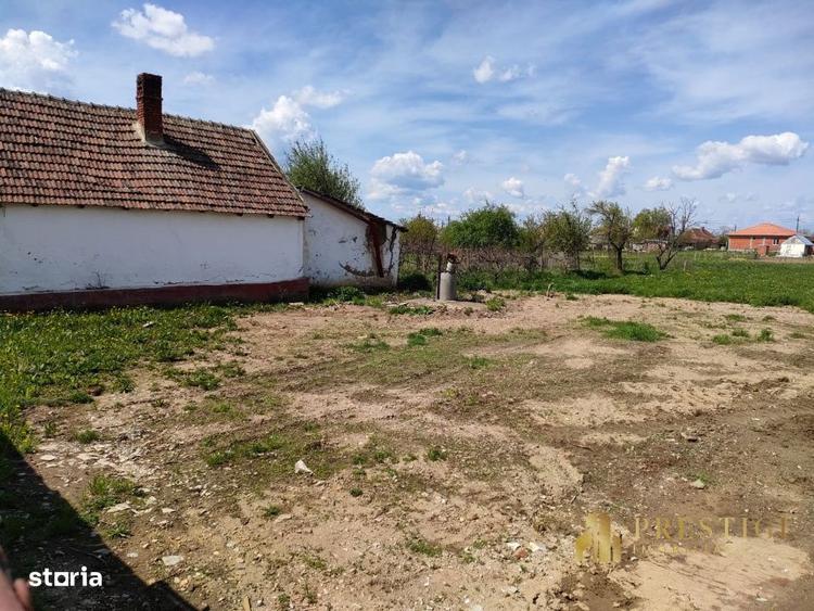 Teren intravilan cu proiect de casa de vanzare in Tarian - Bihor - 2