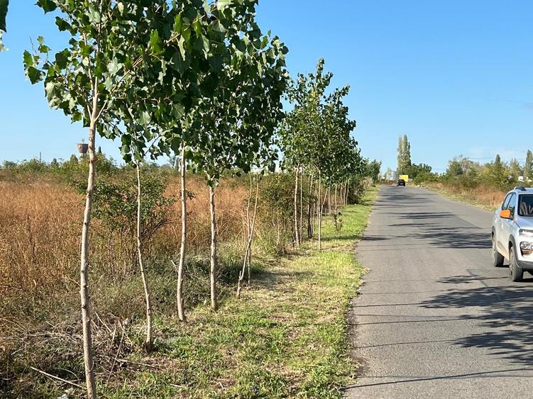 Titan -Policolor-drum gura Saratii ,7290 mp - 6