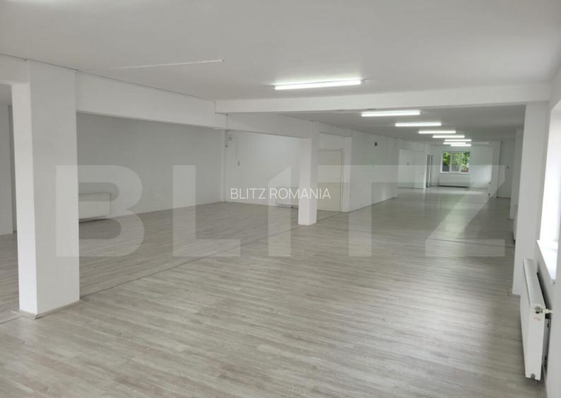 Spa?iu comercial, 250 mp, zona Some?eni