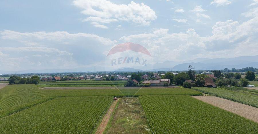 Teren de 1100 mp de vanzare in Stupini - 6