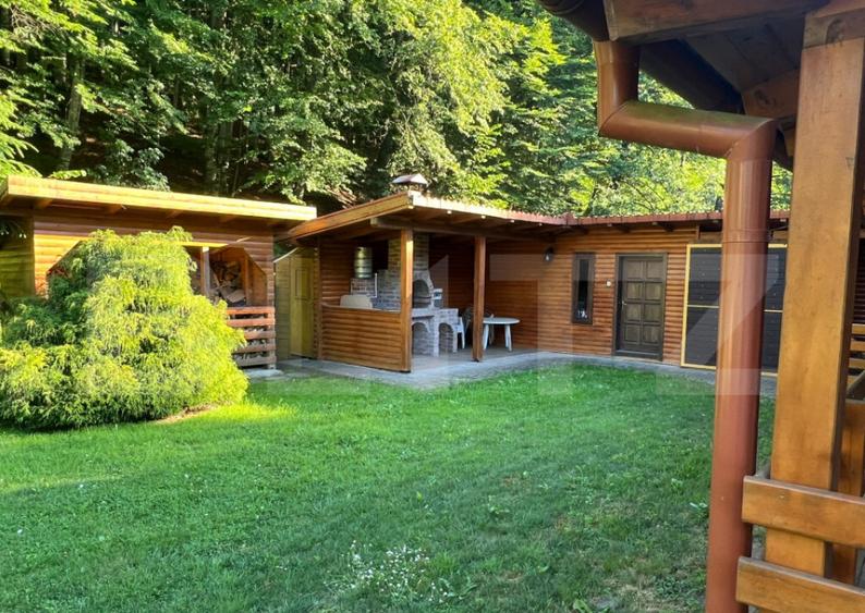 Cabana moderna in Campul Ceta?ii confort ?i natur? - 8