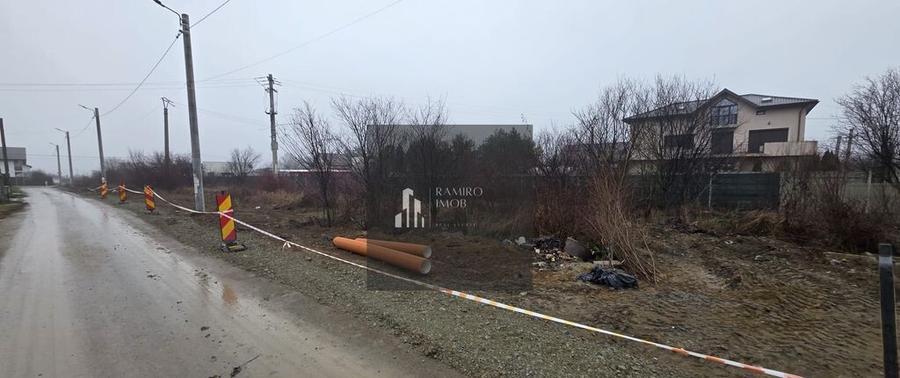 2 loturi 1000 mp Strada Pinului - 1 Decembrie - 6