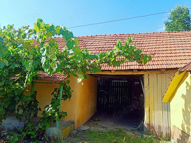 Casa de vanzare sat Tes jud Timis - 4