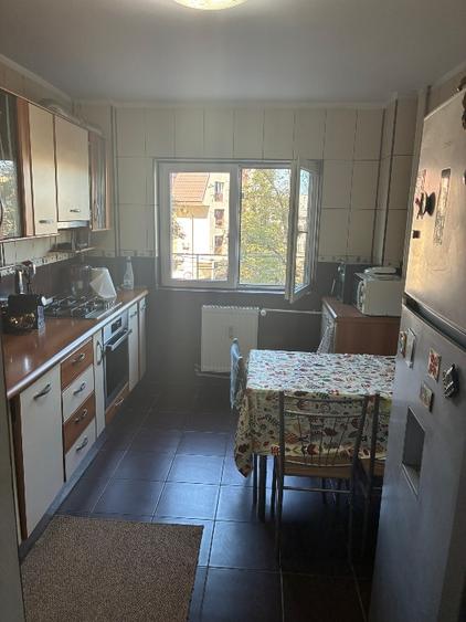 Izvorul Rece Drumul Gazarului 4 camere - 9