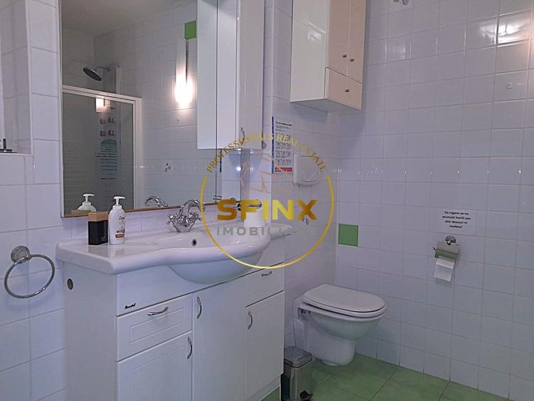 Casa de inchiriat – zona centrala Berzei-Știrbei Voda / Cismigiu - 25