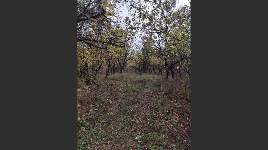 Vanzare sau Schimb! Central Drajna de Jos 5000 mp - 9