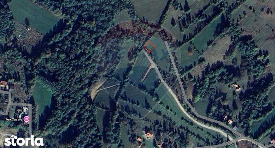 Teren 500 mp intre Perdelu? ?i Tohanul Nou - 14