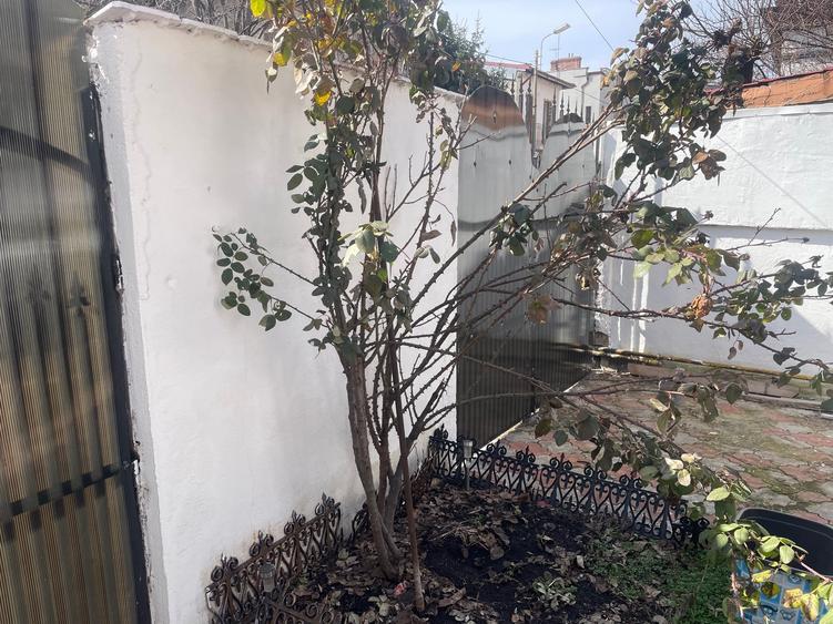 Parc Carol  2 Camere  Curte Individuala - 10