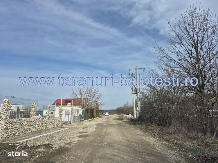 Teren cu gaz si electrica-hotar, 28000 E, padure - 9