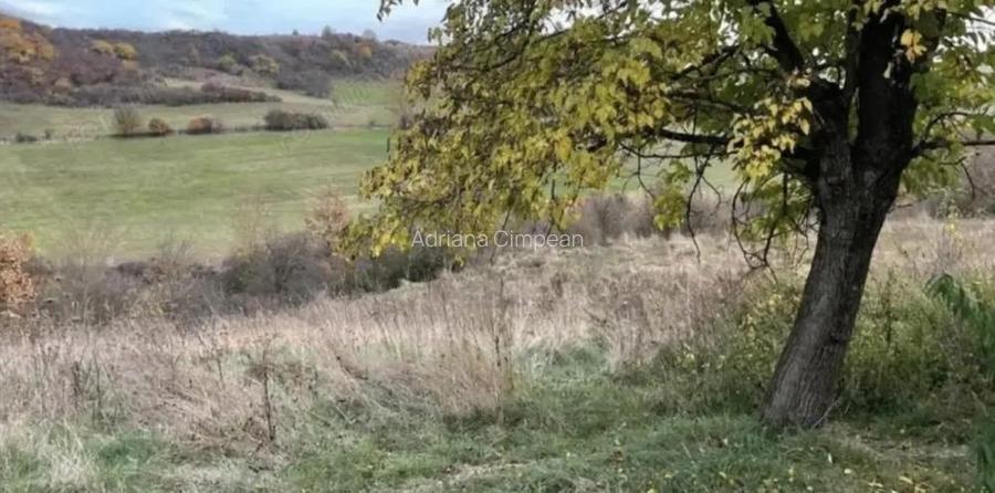 Teren de vanzare, 5800 mp, Sat Sanmarghita, jud. Cluj