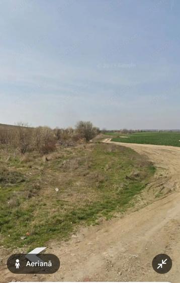 Teren intravilan Cornetu - 2