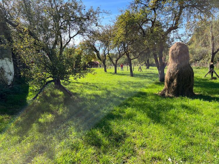 Teren intravilan Breaza PH / Podu Corbului - vanzare - 5