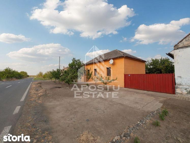PROPRIETATE PREMIUM TEREMIA MARE - APOSTU ESTATE - 2