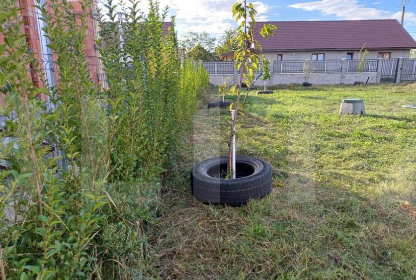 Teren Intravilan Imprejmuit in Sanmihaiu German - 1