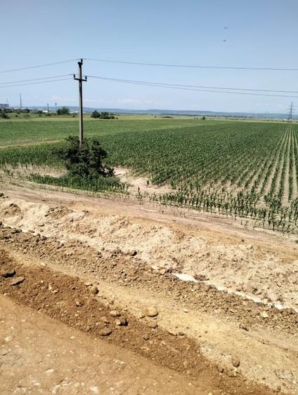 Teren Oarja de 8 400 mp, langa Pasarela A1, 5,5 euro/mp la Pretul 46 200 Euro. - 7