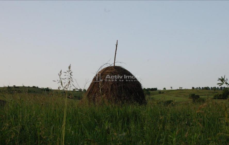 Casa de in Uileacul de Beius gospodarie traditionala,... - 1
