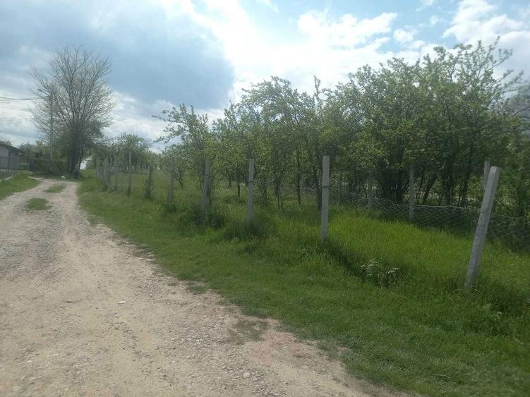Teren intravilan 1700 mp - Drajna de Jos, Poiana Mierlei 15/mp, neg - 3