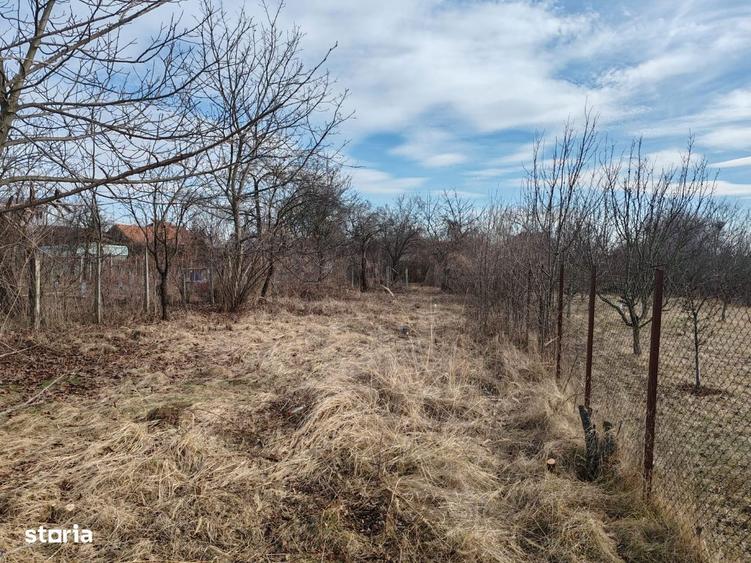 Cornu de Jos - casa Batraneasca + teren 1343mp - 60000 Euro - 6