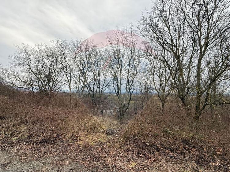 DE VANZARE Teren Strada Victoriei Baia Mare - 10