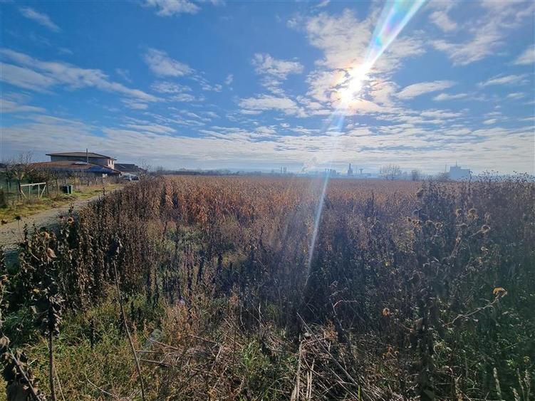 De vanzare parcele de 5 arii, utilitatile la poartă strada graului, Nazna - 5