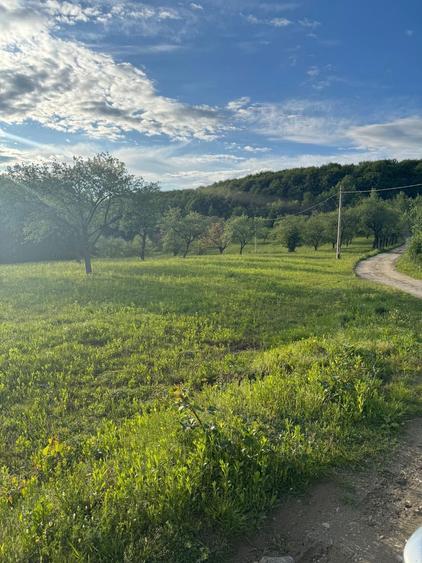 Pamant de vanzare - 1