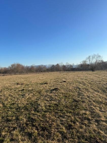 Oază de liniște cu vedere la munți – 2.600 mp lângă Aeroportul Sibiu (Cristian) - 3