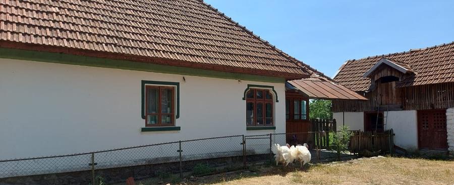 Casa + teren intravilan com. Polovragi - 5