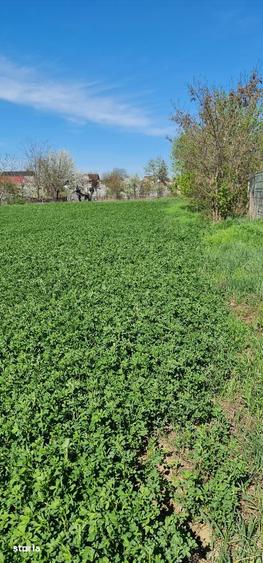 Vand teren 500 mp Cordun - 1