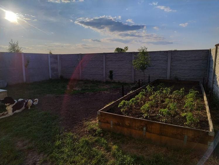 Casa pe parter in Bucovat - 9