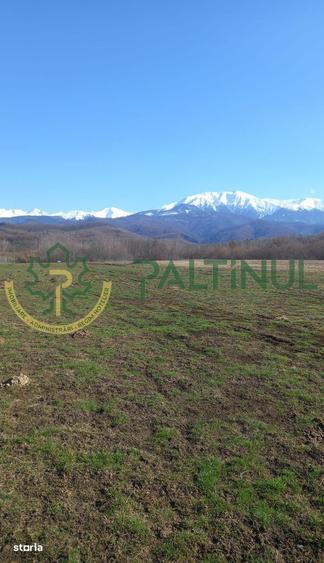 Vindem teren Sibiu, Valea Lupului, priveliste deosebita - 9