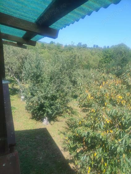 Casa de vanzare la Cacova Ierii - 9