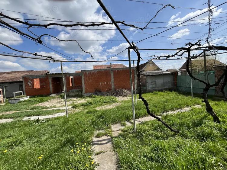 Teren Intravilan, Casa + Gradina, 2000 mp - Cheresig, Comuna Toboliu - 9