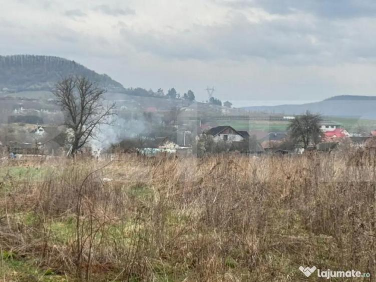 Teren Pentru Constructii 9292 mp- zona Cuzdrioara - 5