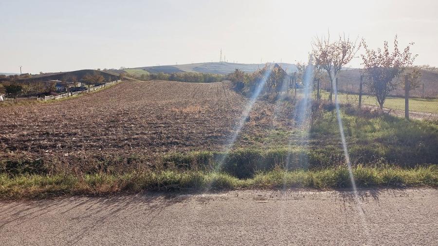 Teren de vanzare - 8