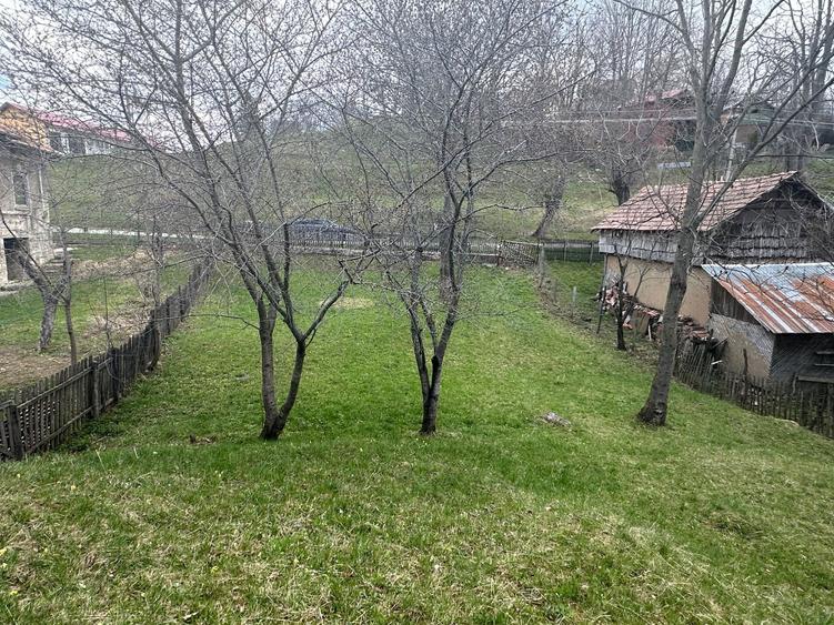 Teren de vanzare comuna Sotrile - 4