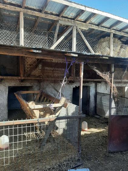 Jude?ul Buzau com Glodeanu Sili?tea sat COTORCA, casa batrineasca din caramida 3465m - 9