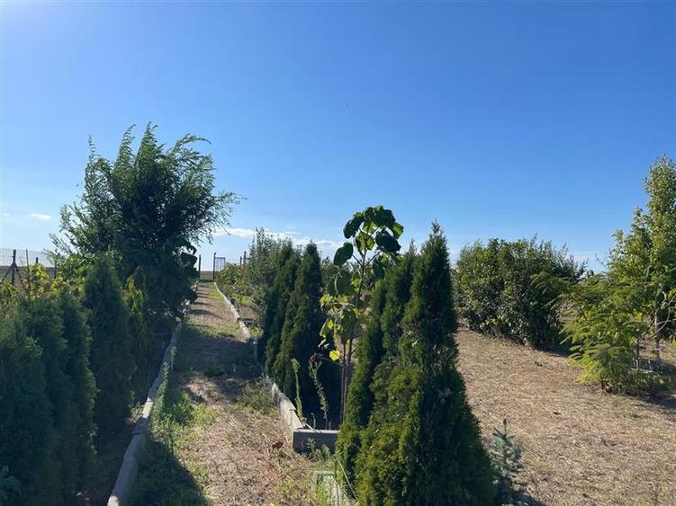 Teren de vanzare in localitatea Cataloi Tulcea - 5