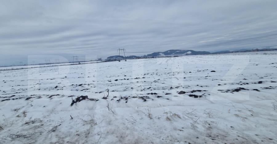 Teren extravilan arabil pretabil investitie casa sau afacere - 1