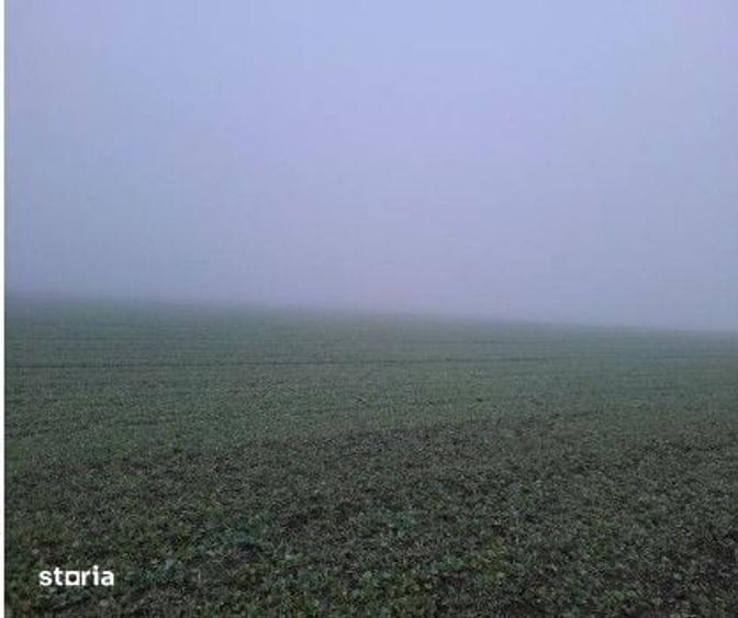 Teren extravilan arabil Troianul, ID: R2884553 - 3