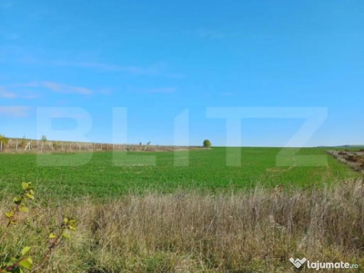 Teren intravilan 2877 mp, in Copaceni - 1