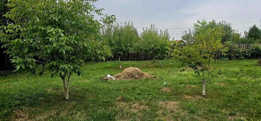 Vand Casa (P+E) ?i Teren sat Nisipoasa, com Plopu, jud. Prahova - DIRECT PROPRIETAR - 9