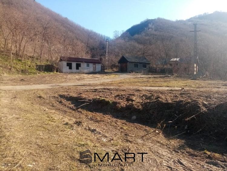 Teren extravilan 7432 mp, cu cabana de lemn Capalna AB - 10