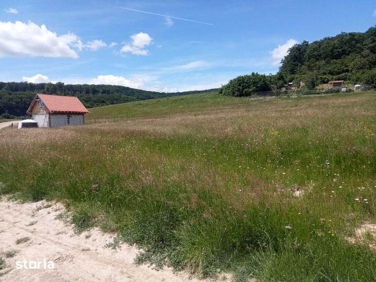 Teren 1580 m2 intravilan si casuta la rosu - 8