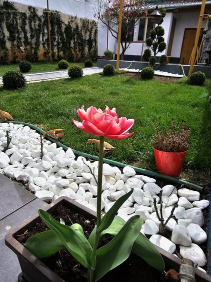 Casa singur in curte de vinzare - 1