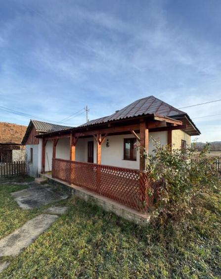 Doua case pe acela?i teren, 180 mp utili, 25 ari, ?indre? - 2