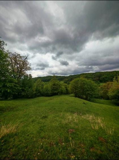 Teren de vanzare Drajna de sus - 3